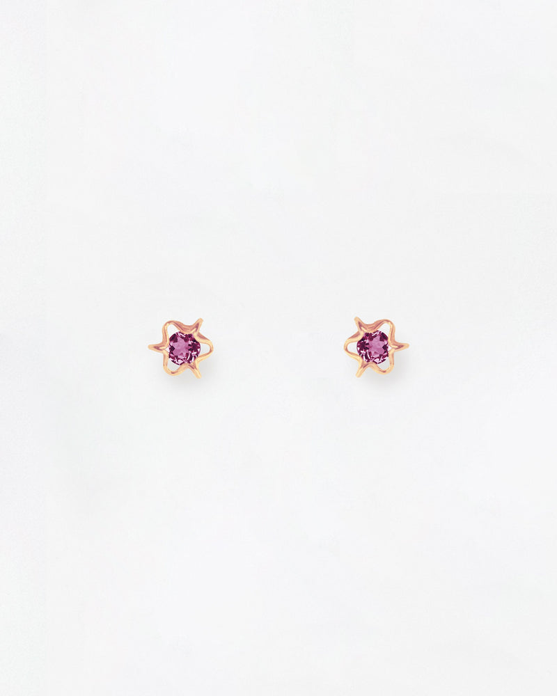 Elements Passion Rhodolite Earrings Mini