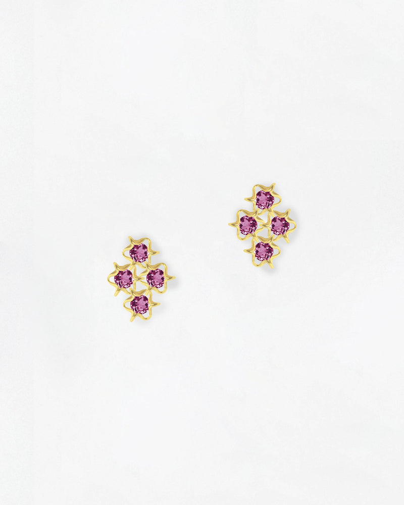 Elements Passion Earrings Small