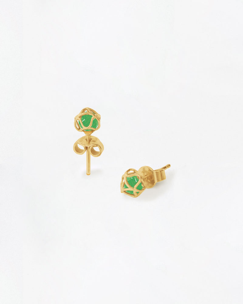 Embrace Paris Classic Earrings Star