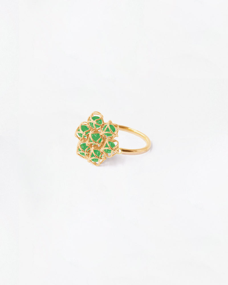 Embrace Paris Classic Ring Cloud