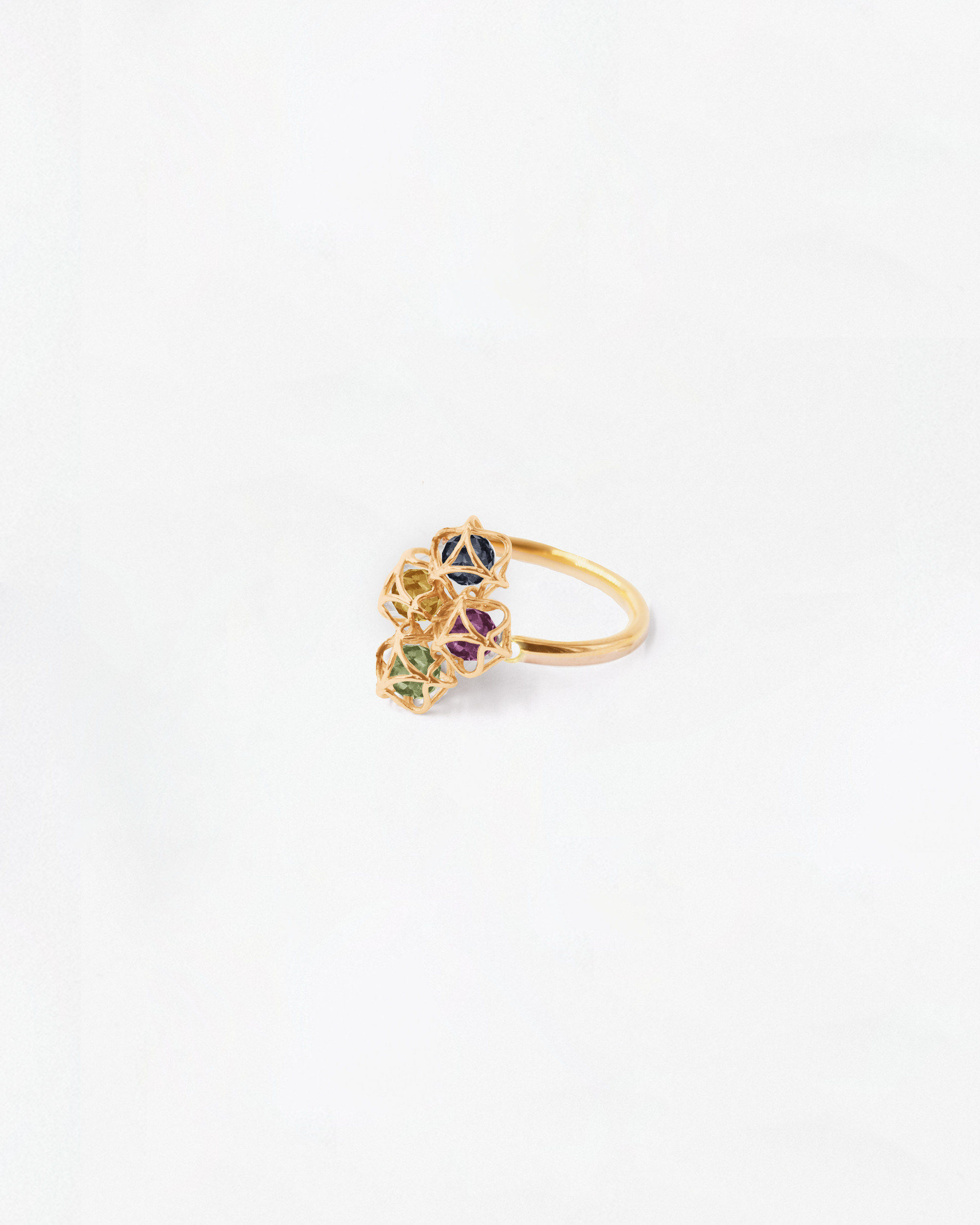 Embrace Montreal Leaves Ring Cloud