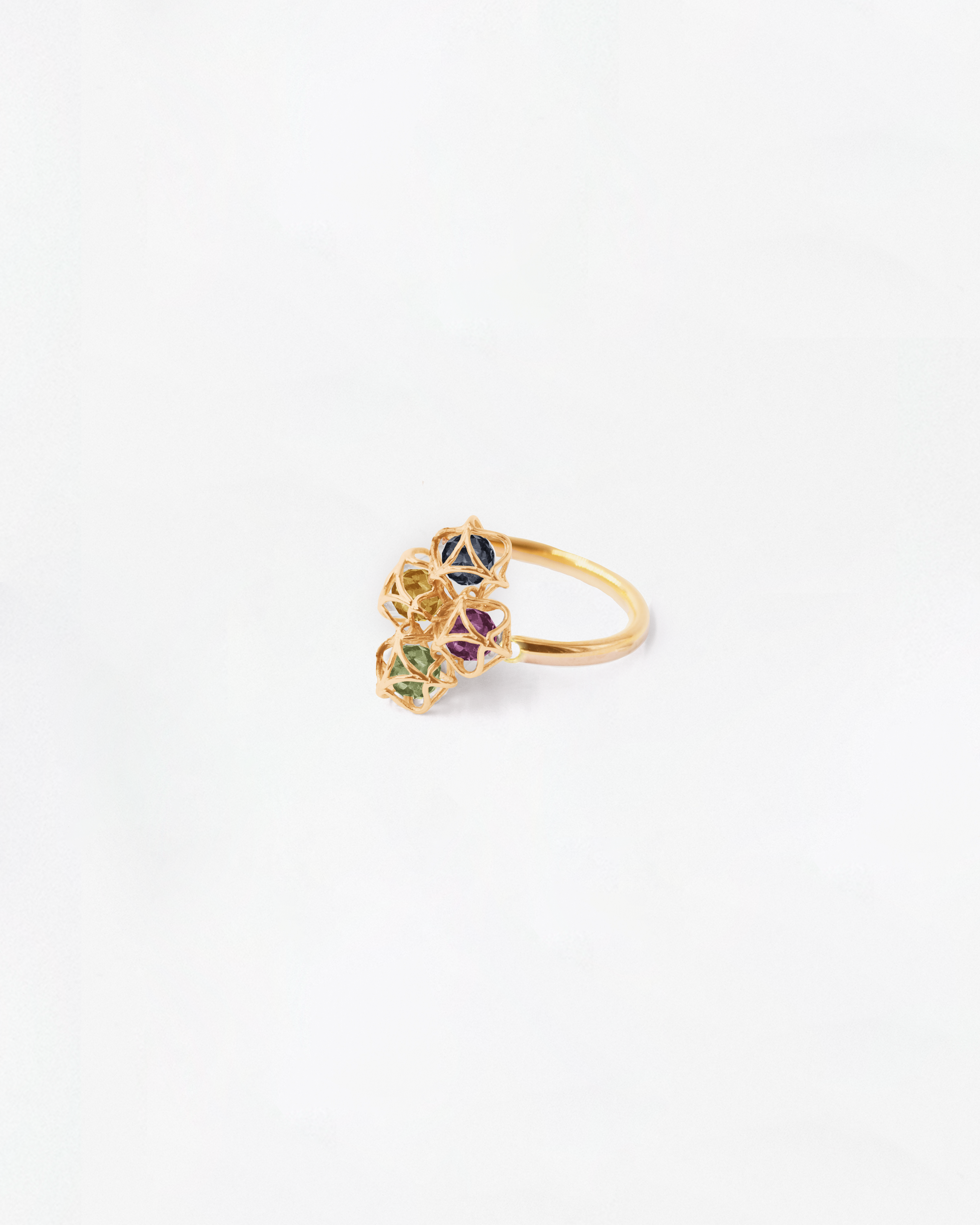 Embrace Montreal Leaves Ring Cloud