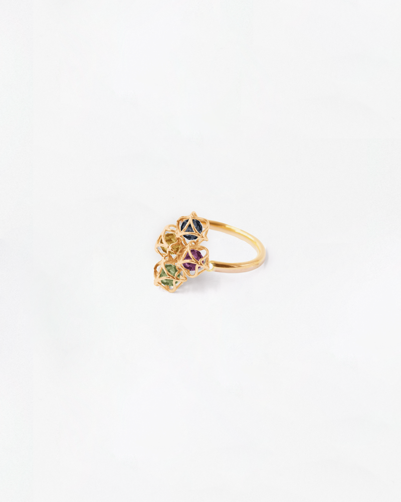 Embrace Montreal Leaves Ring Cloud